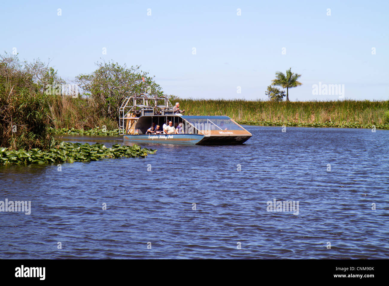 Fort ft. Lauderdale Florida, Everglades Wildlife Management Area, Everglades Holiday Park, giro in idroscivolante coperto, acqua, sawgrass, Cladium jamaicense, Nuphar Foto Stock