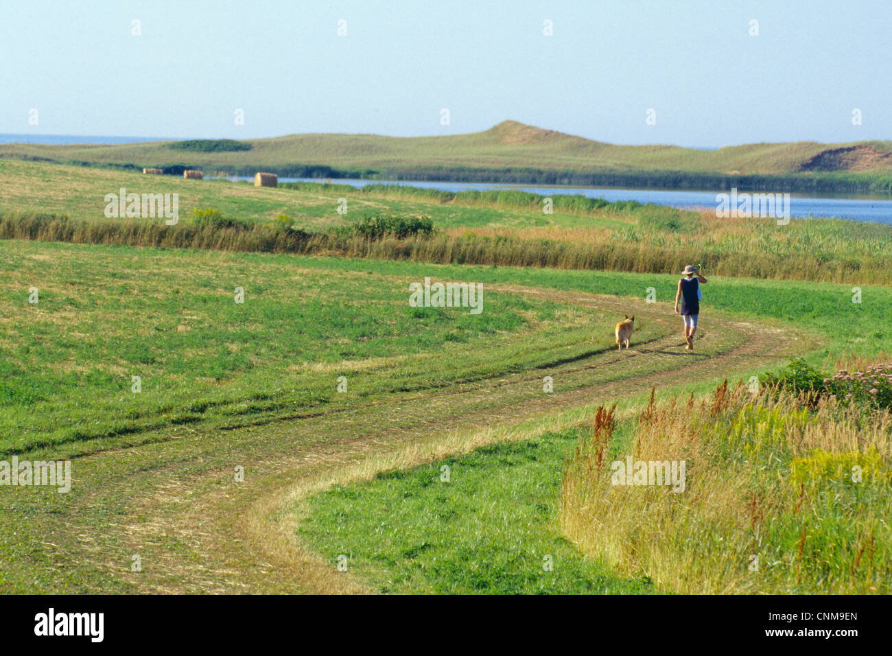 Donna che cammina il suo cane in un campo. Prince Edward Island, Canada. Foto Stock