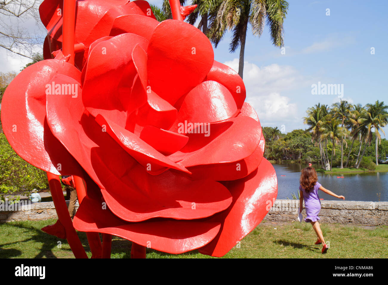 Miami Florida, Coral Gables, Fairchild Tropical Gardens, gigantesca rosa rossa, artista Will Ryman, arte, visitatori viaggio turistico viaggio terra turismo Foto Stock