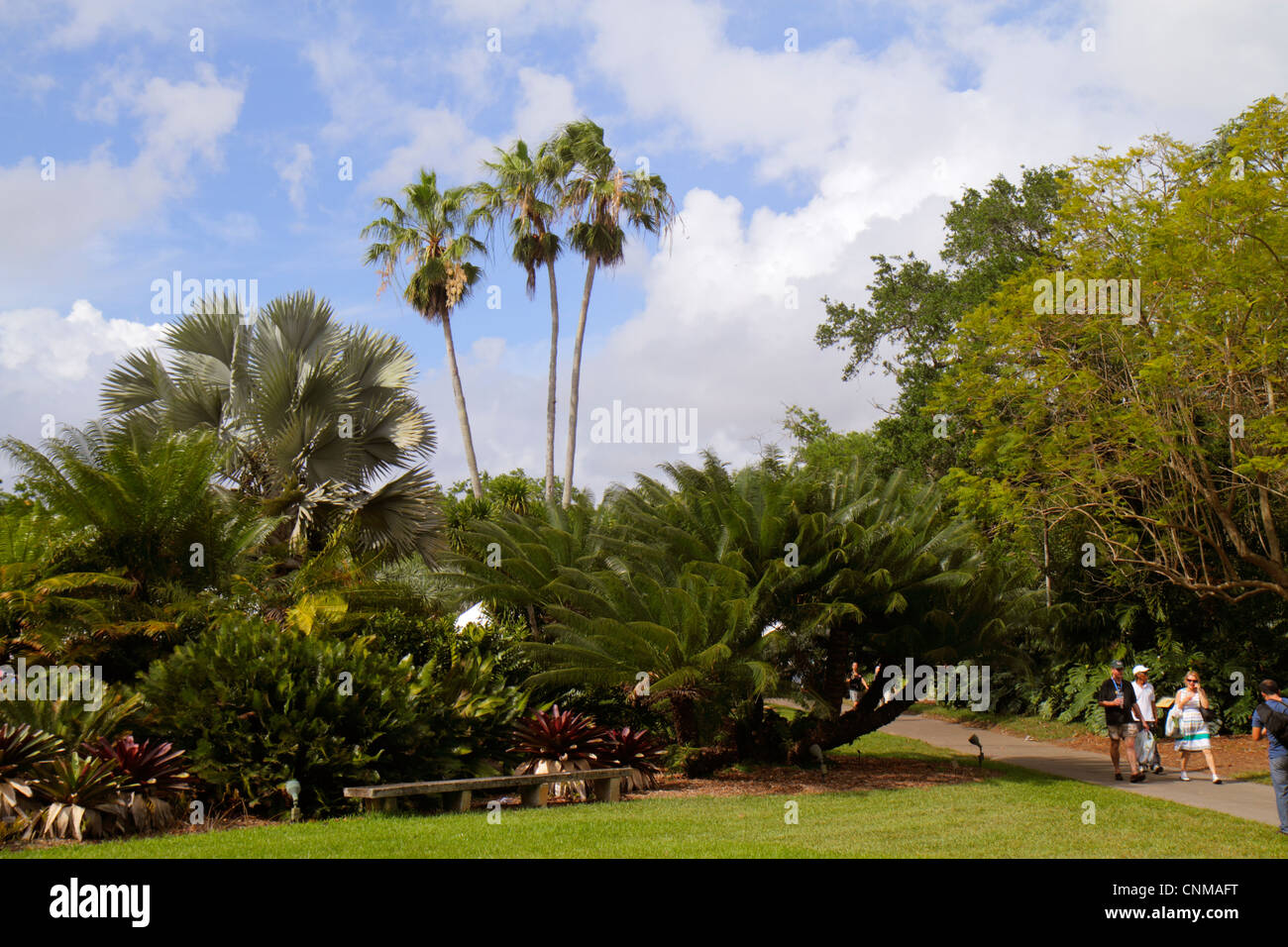 Miami Florida, Coral Gables, Fairchild Tropical Gardens, palme, architettura paesaggistica, FL120311455 Foto Stock