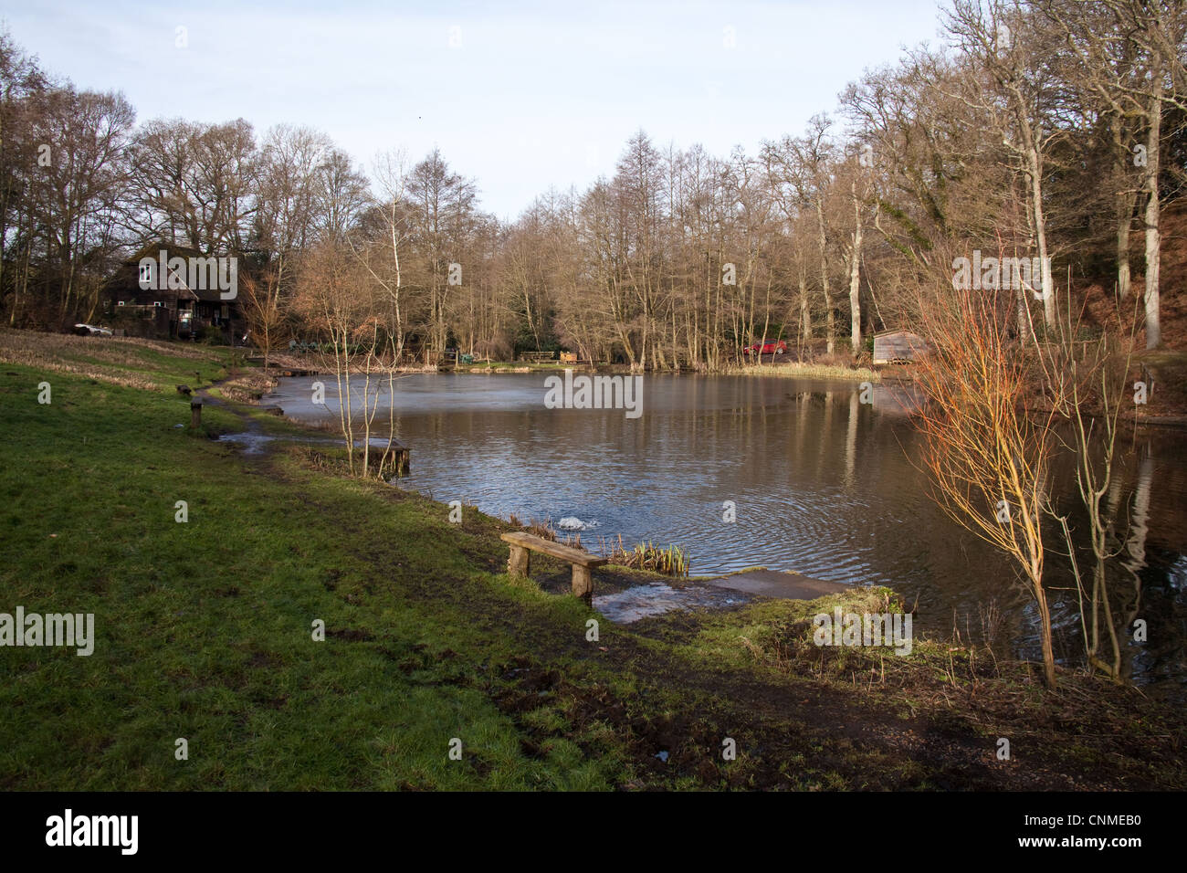 Frensham pesca di trote, Simmondstone Lane, Churt,Farnham, Surrey, Inghilterra. Foto Stock