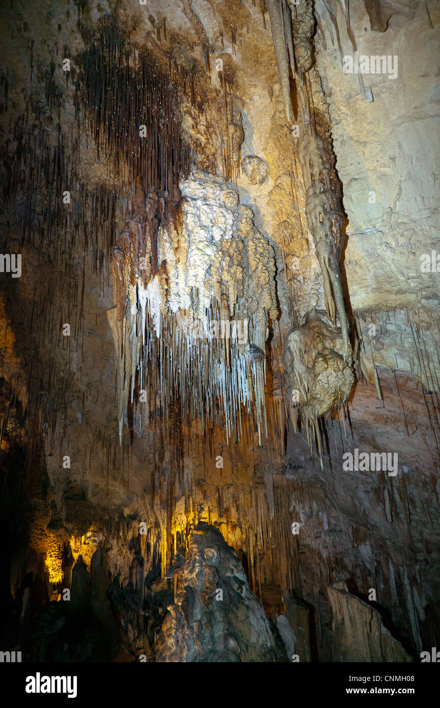 Complesso di formazioni di calcare nelle grotte di cristallo, Bermuda Foto Stock
