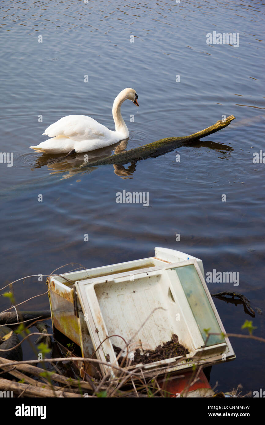 Banca di fiume inquinamento e Swan. L'inquinamento del fiume, scarico illegale di un frigorifero in un fiume, influenzando la fauna locale. Foto Stock