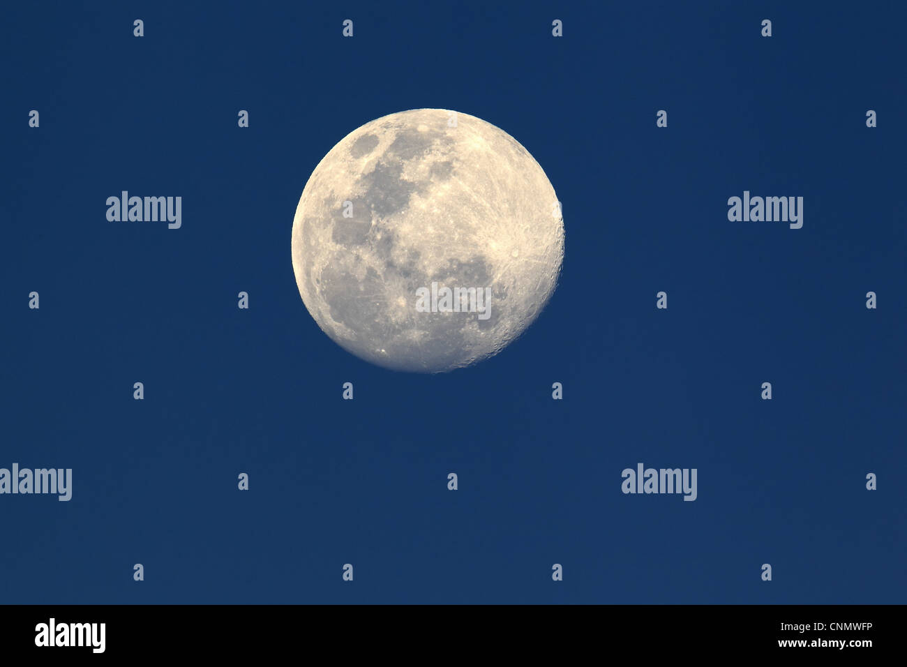 Luna piena, visto dall emisfero meridionale di notte, Sturt N.P., South Australia, Australia Foto Stock