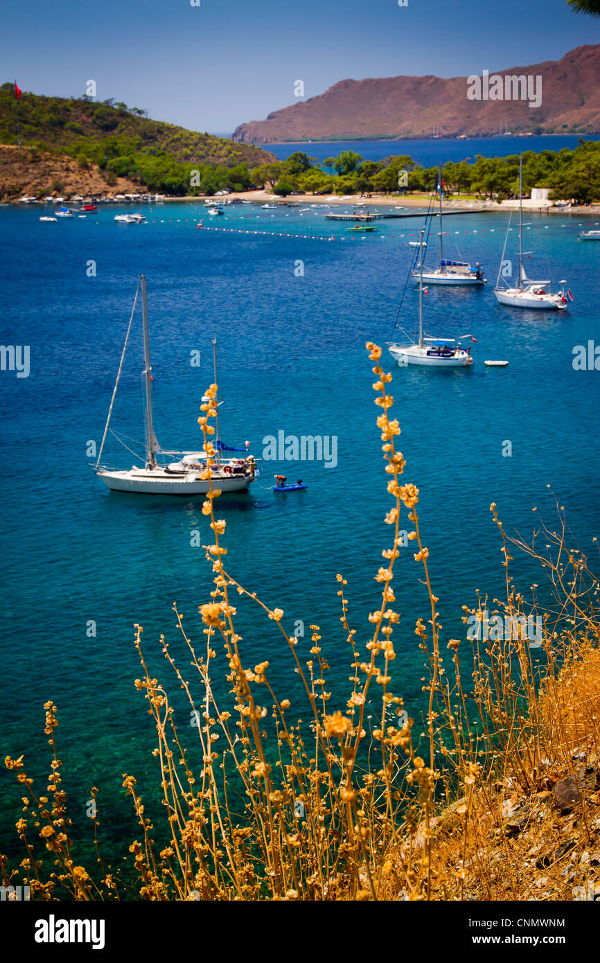 Costa. Datca peninsula, Provincia di Mugla, Anatolia, Turchia. Foto Stock