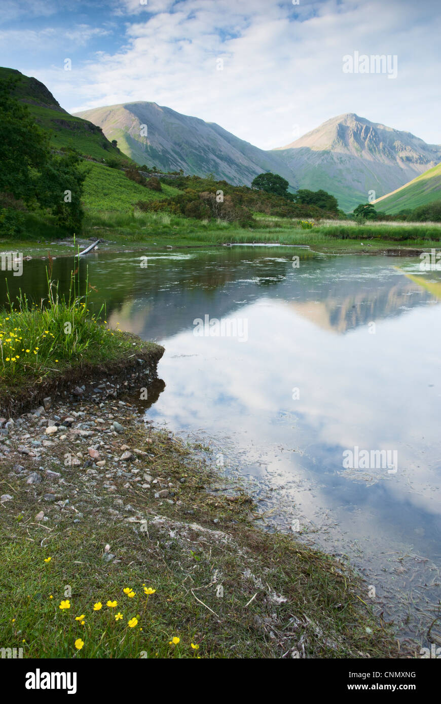 Ritratto fotografia di grande timpano nel Parco Nazionale del Distretto dei Laghi Foto Stock