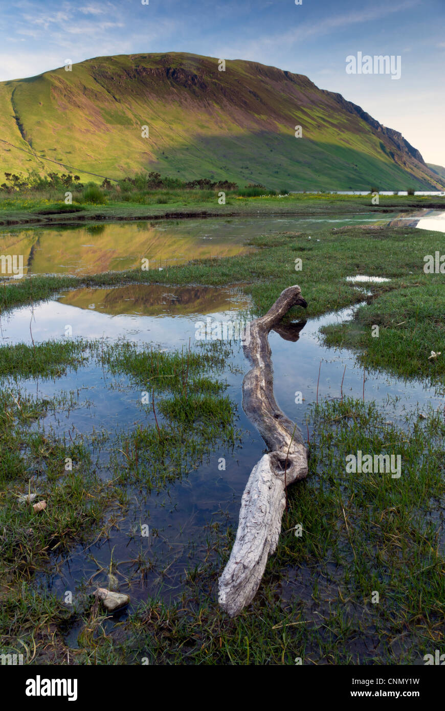 Foto ritratto di testa IIlgill, Wast Water, Parco Nazionale del Distretto dei Laghi Foto Stock