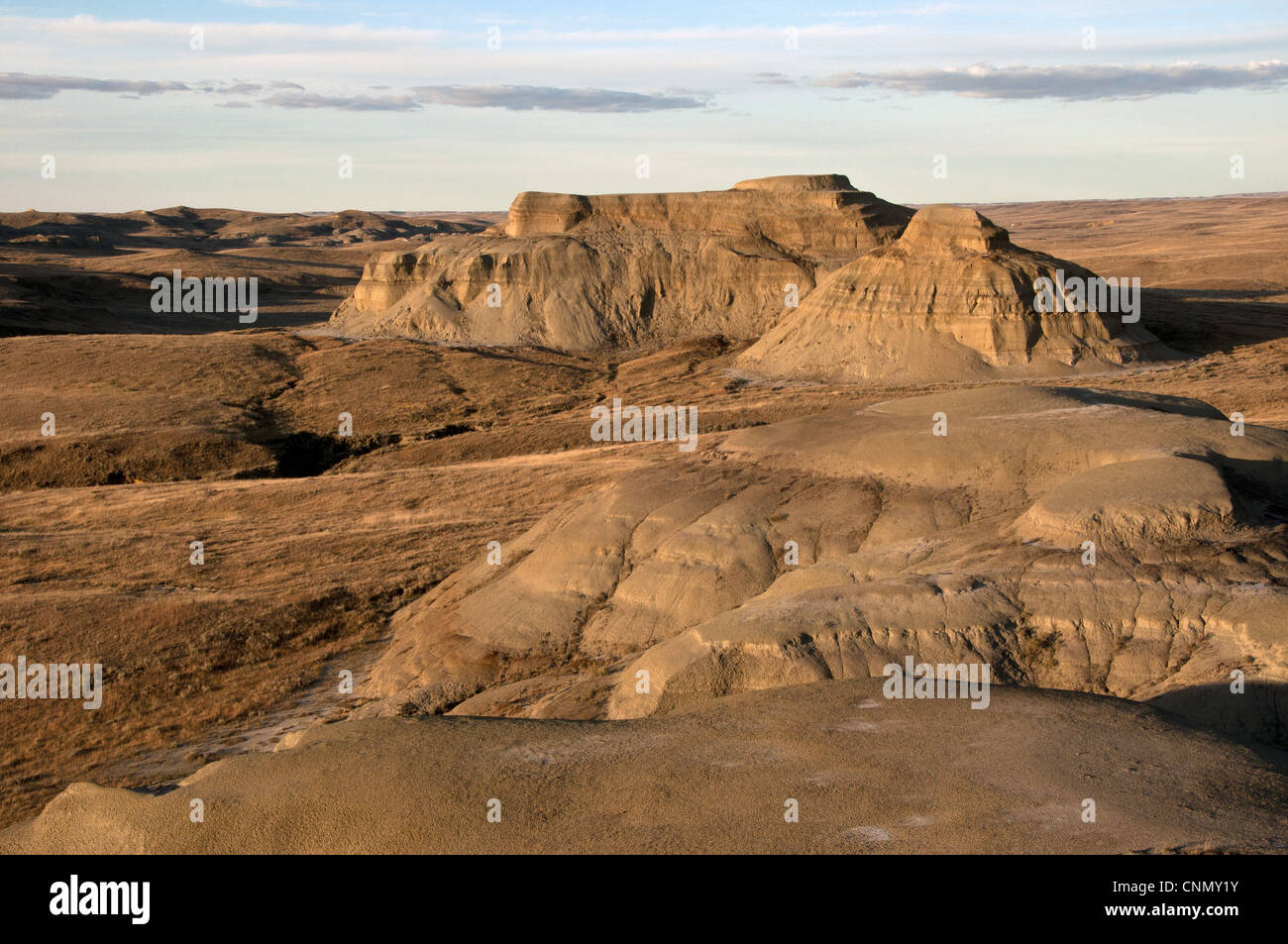 Vista di badlands in shortgrass prairie habitat, blocco orientale, praterie N.P., Southern Saskatchewan, Canada, ottobre Foto Stock