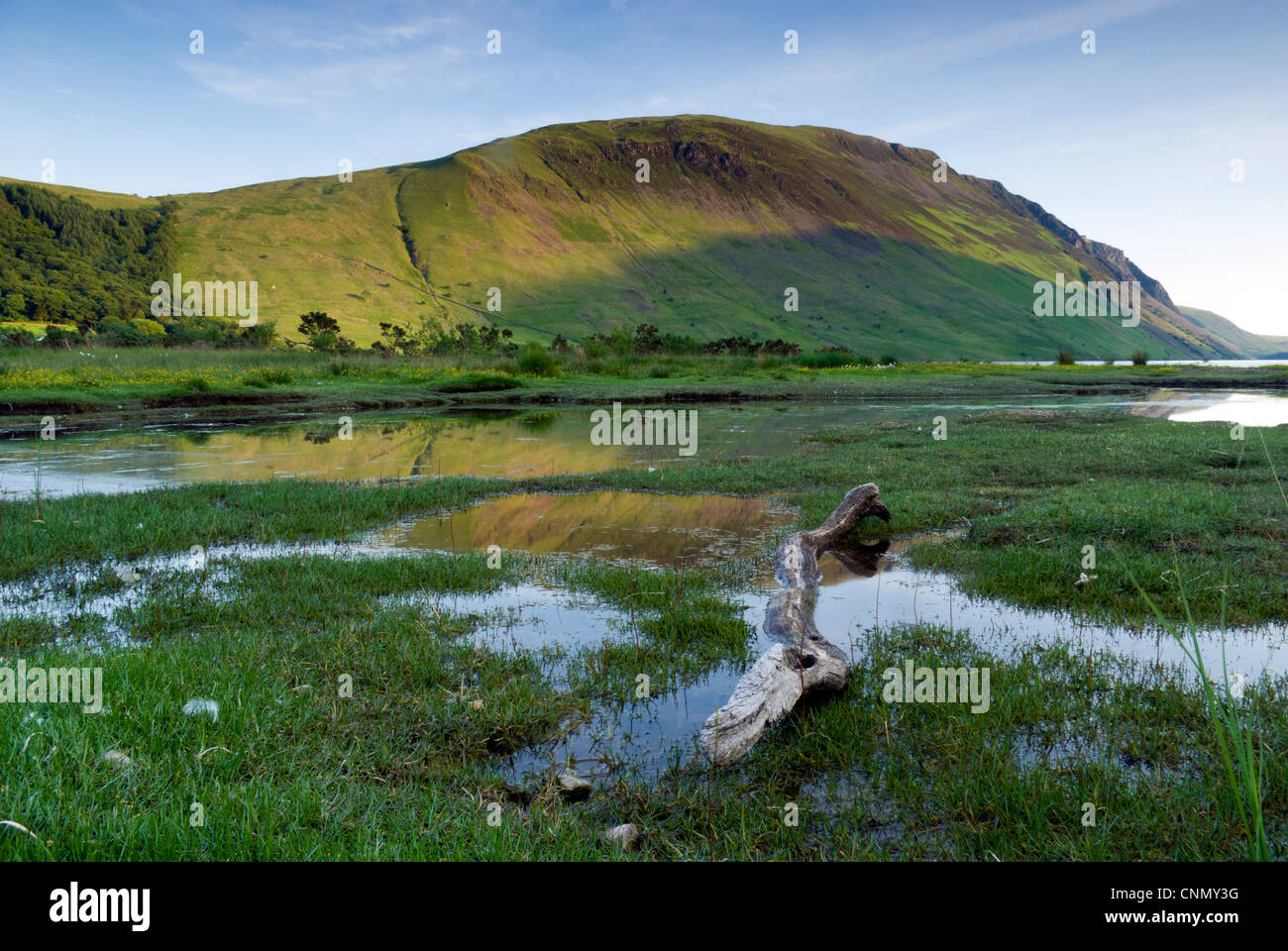 Foto di testa IIlgill, Wast Water, Parco Nazionale del Distretto dei Laghi Foto Stock