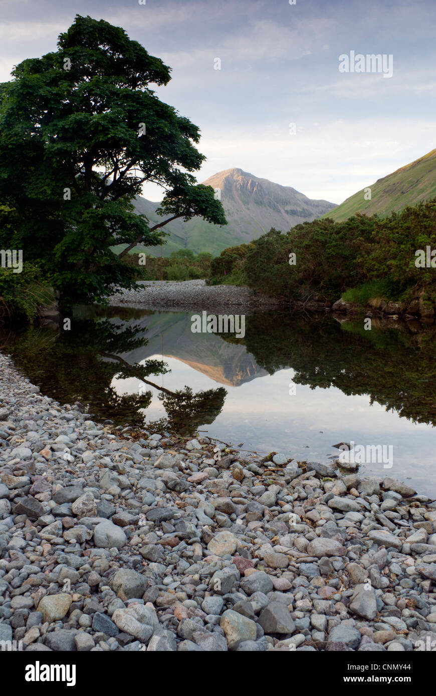 Portraite fotografia di grande timpano nel Parco Nazionale del Distretto dei Laghi Foto Stock