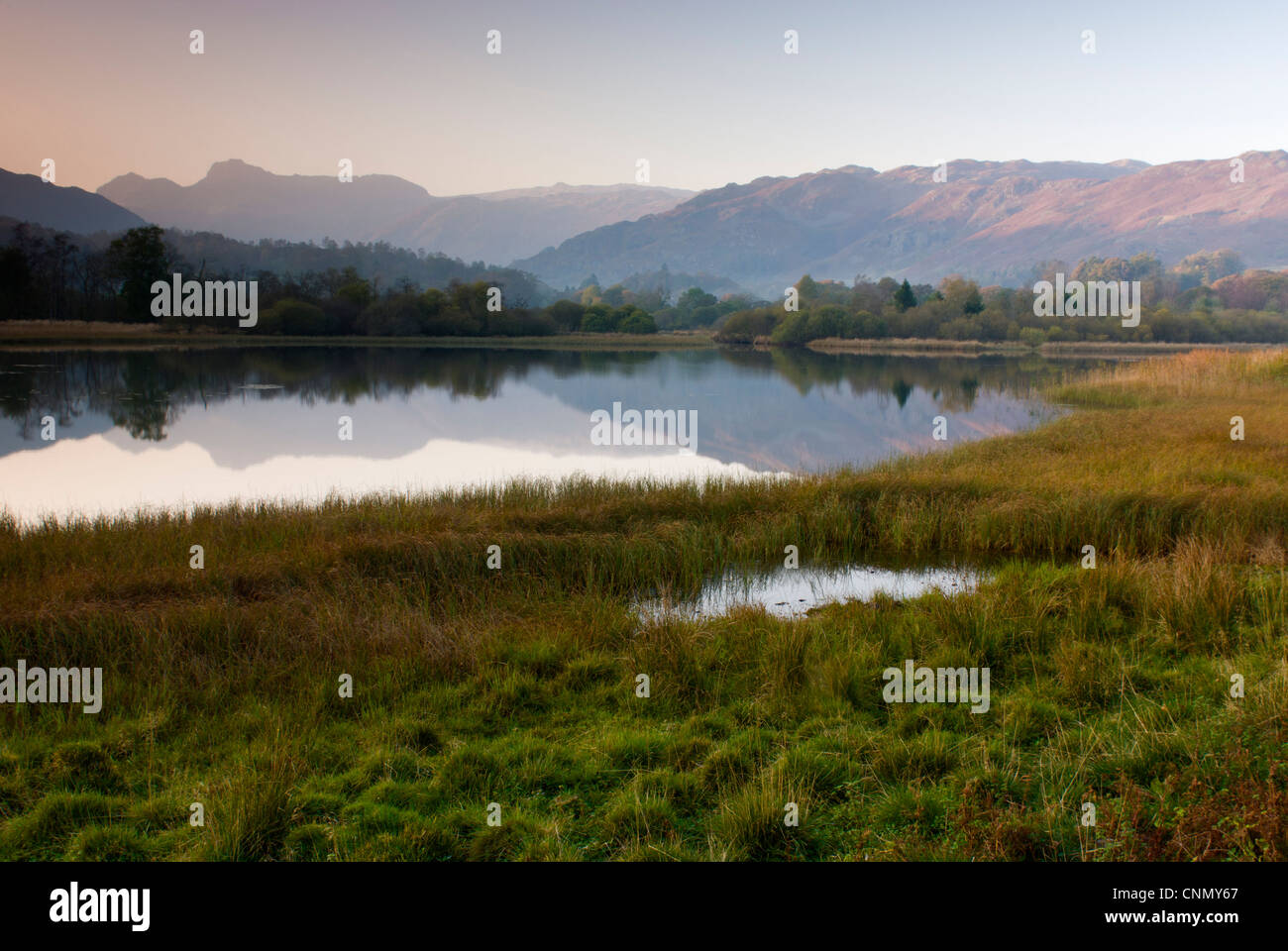 Vista del Langdale Pikes da Elterwater nel Parco Nazionale del Distretto dei Laghi. Foto Stock