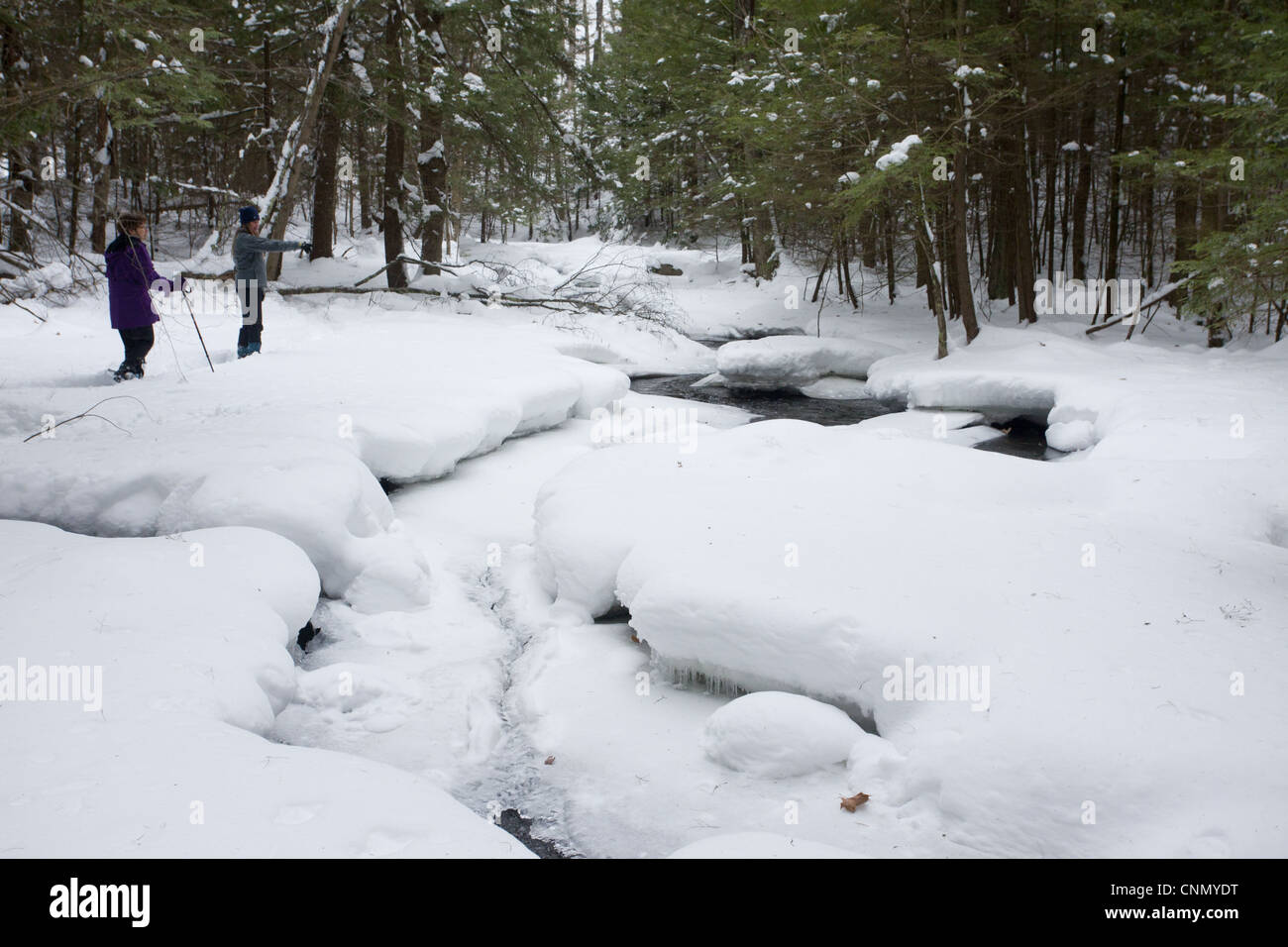 Bosco di flusso dopo la neve pesante Robert Ingalls preservare Rensselaer Land Trust Horsehaven Road contea Rensselaer New York U.S.A. Foto Stock