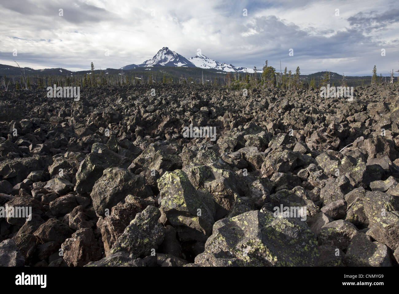 Visualizzare un enorme campo di lava habitat McKenzie Pass 5335ft./1623m Belknap cratere cascata complessa gamma Oregon centrale U.S.A luglio Foto Stock