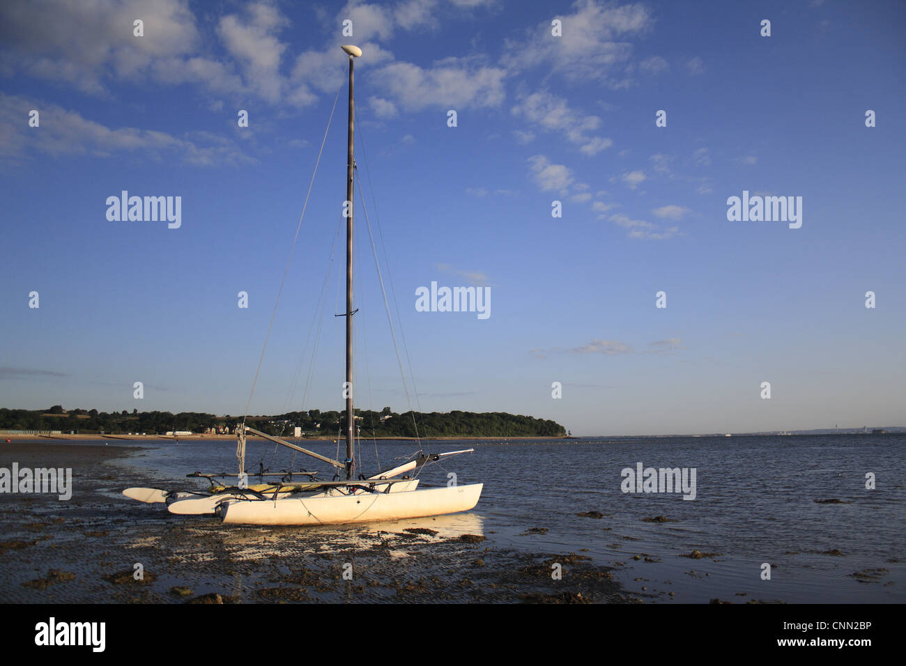 Barca a vela ormeggiata sulla spiaggia con marea, Bembridge, Isle of Wight, Inghilterra, giugno Foto Stock