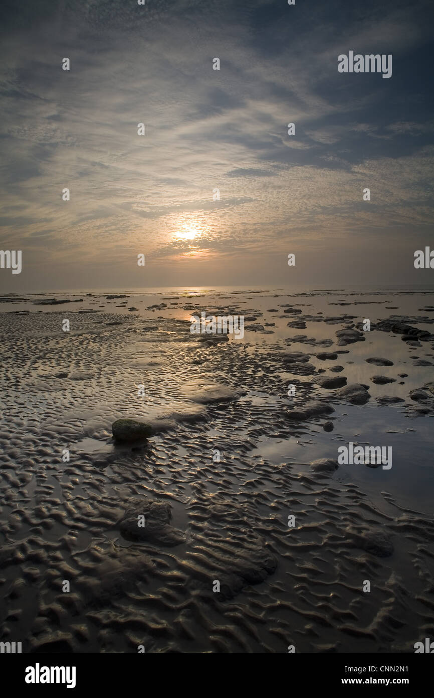 Tramonto sulla spiaggia con la bassa marea, il Naze, Essex, Inghilterra, giugno Foto Stock