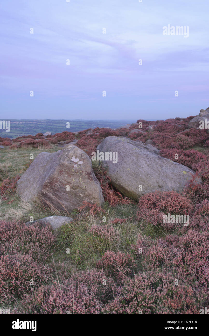Gritstone rocce di heather moorland al crepuscolo Ilkley Moor SSSI Rombalds Moor Ilkley Wharfedale West Yorkshire Inghilterra settembre Foto Stock