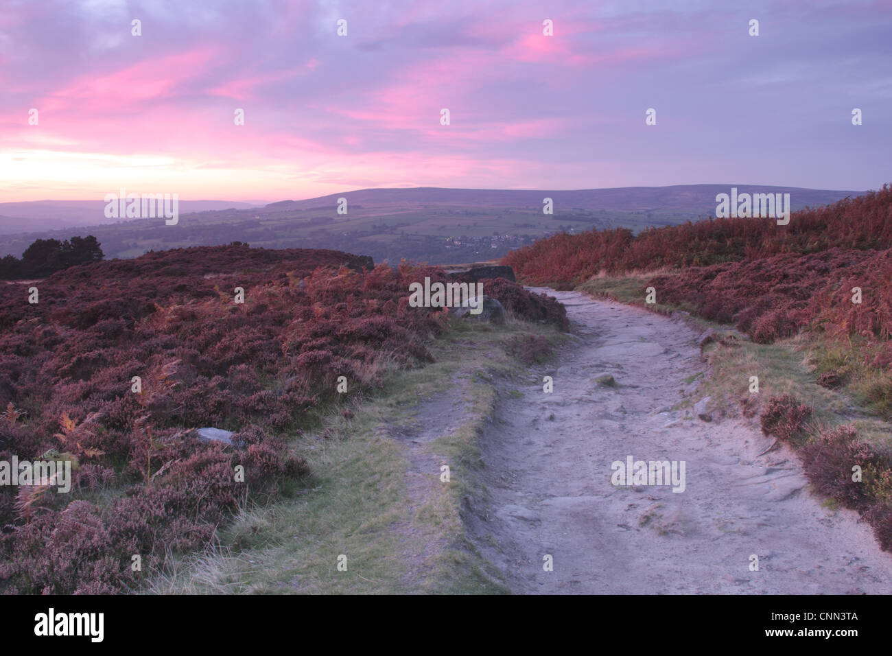 Visualizzare il sentiero su heather moorland al tramonto Ilkley Moor SSSI Rombalds Moor Ilkley Wharfedale West Yorkshire Inghilterra settembre Foto Stock