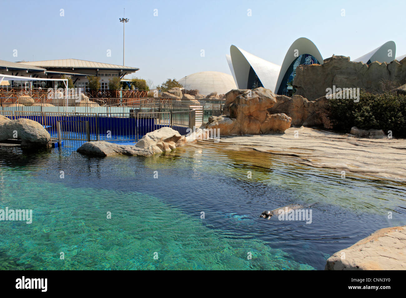 Acquario oceanografico Valencia Spagna Foto Stock