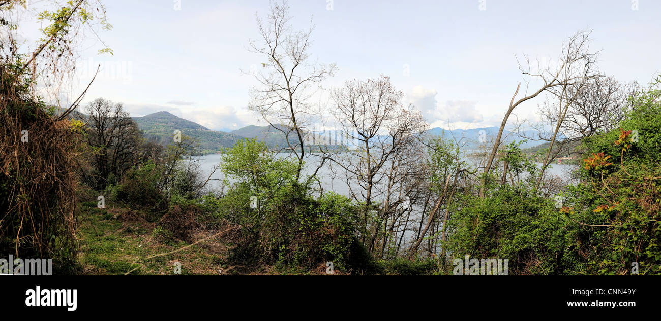 Una vista del Lago Maggiore e delle Alpi Foto Stock