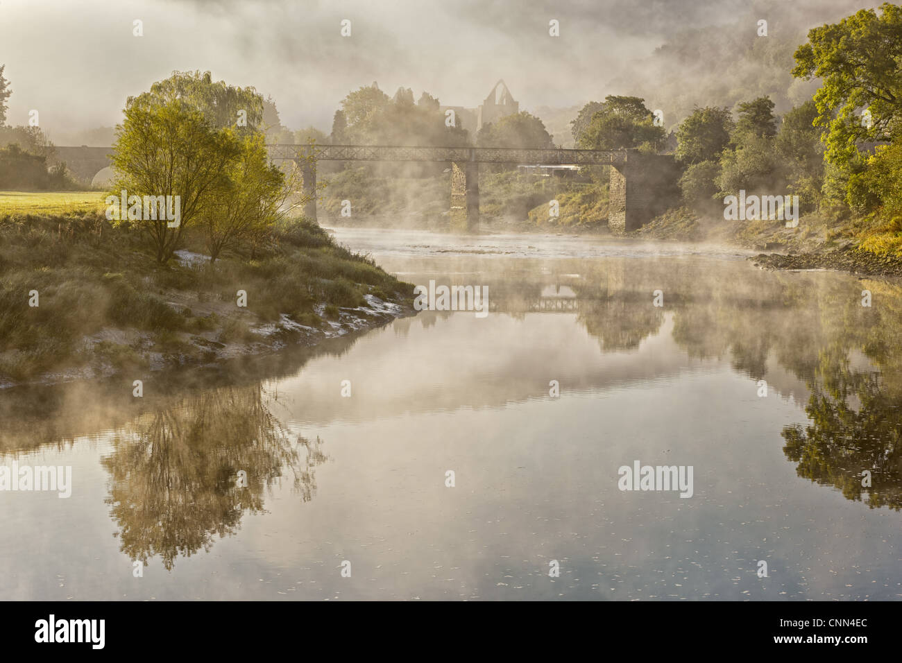 Vista del ponte sul fiume abbazia cistercense rovine nella nebbia all'alba Tintern Abbey Tintern fiume Wye Wye Valley Monmouthshire Galles agosto Foto Stock