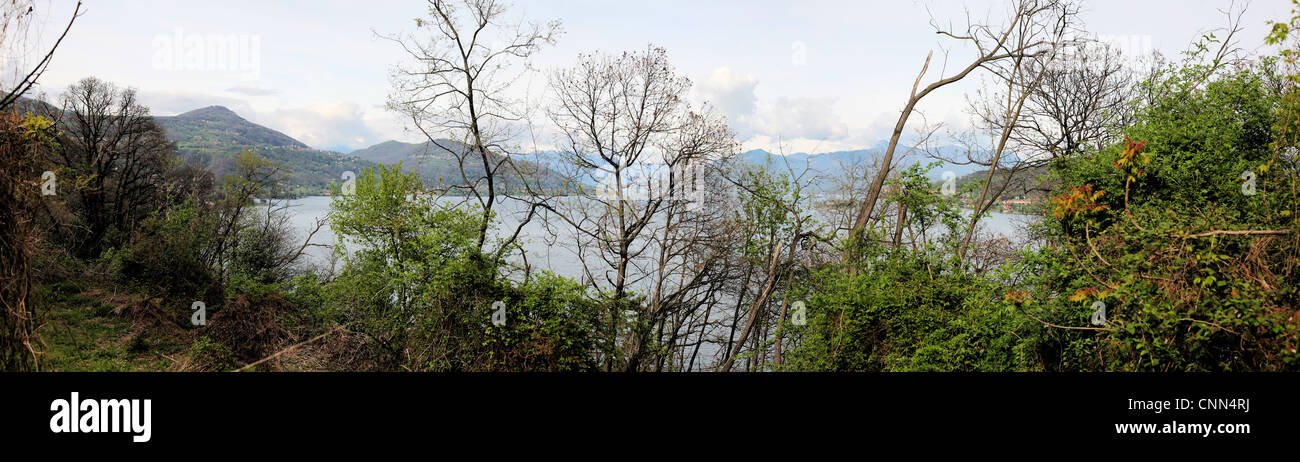 Una vista del Lago Maggiore e delle Alpi Foto Stock