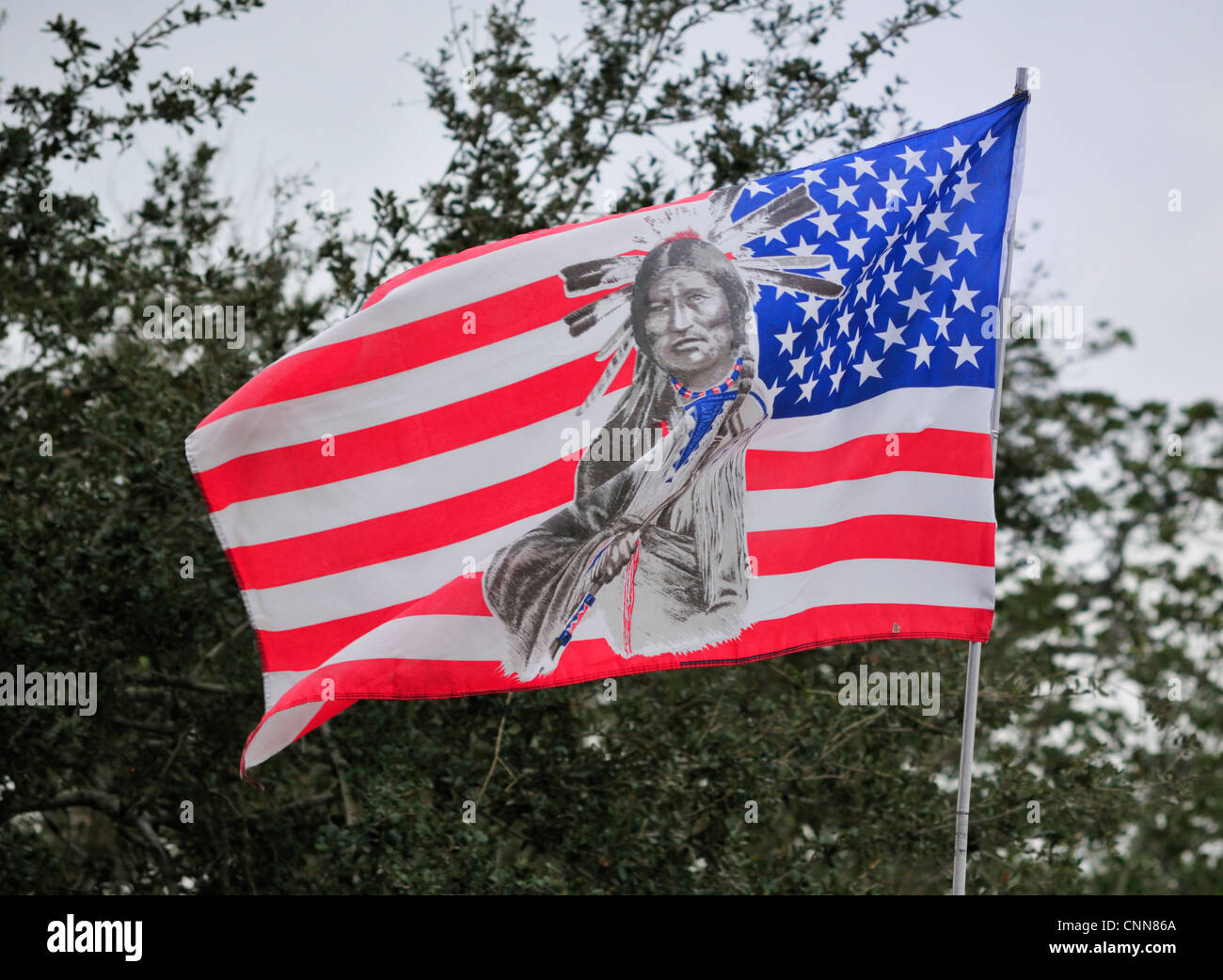 Bandiera americana contenente l'immagine di un American Indian battenti a Ormond Beach Native American Festival, Gennaio 2012 Foto Stock