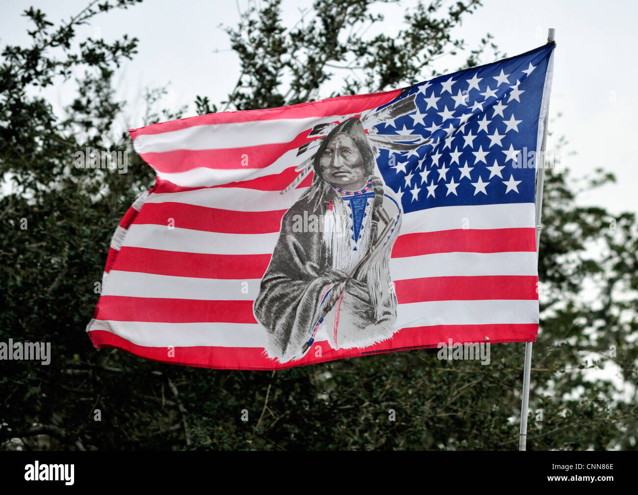 Bandiera americana contenente l'immagine di un American Indian battenti a Ormond Beach Native American Festival, Gennaio 2012 Foto Stock