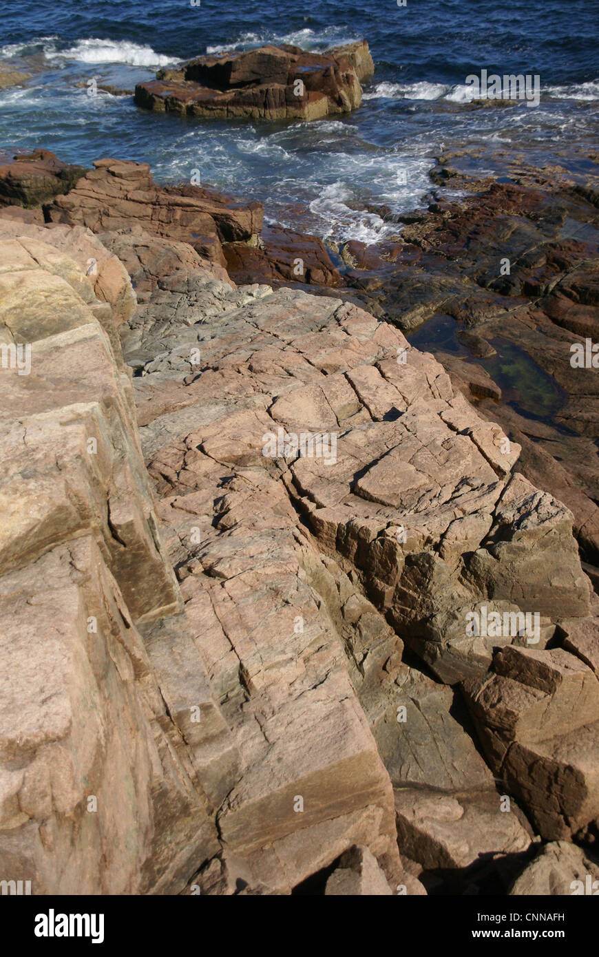 Roccia di granito cenge e massi, Ocean Drive, l'isola di Mount Desert, parco nazionale di Acadia, Maine, New England Foto Stock