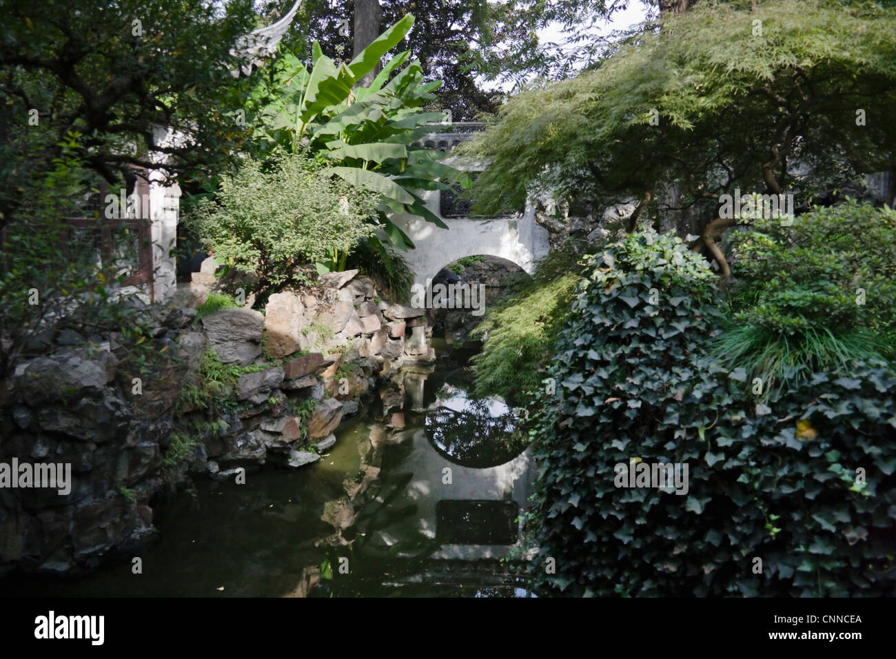 Paesaggio di Il Giardino di Yuyuan, Shanghai, Cina Foto Stock