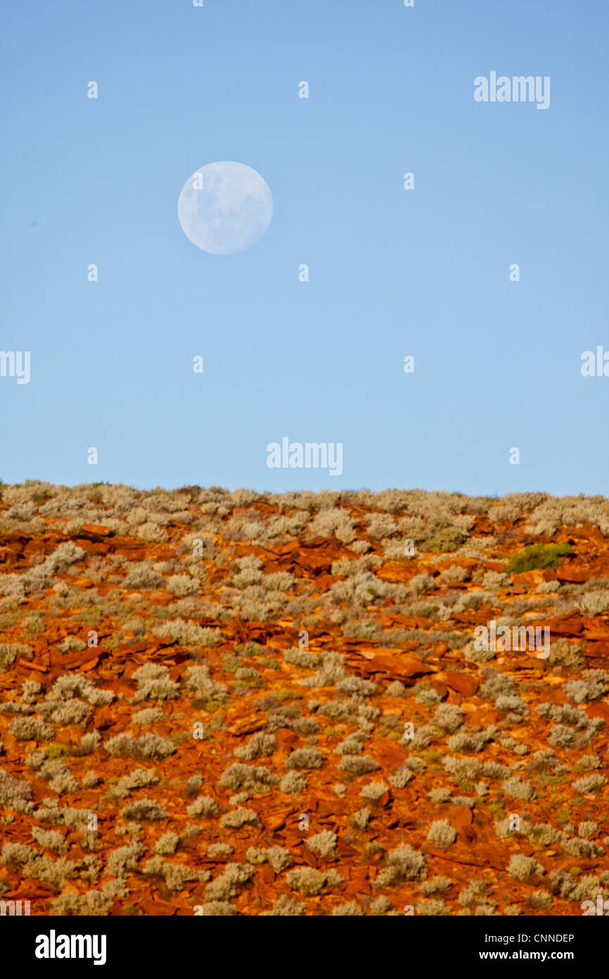 Luna crescente nel deserto. Australia. Foto Stock