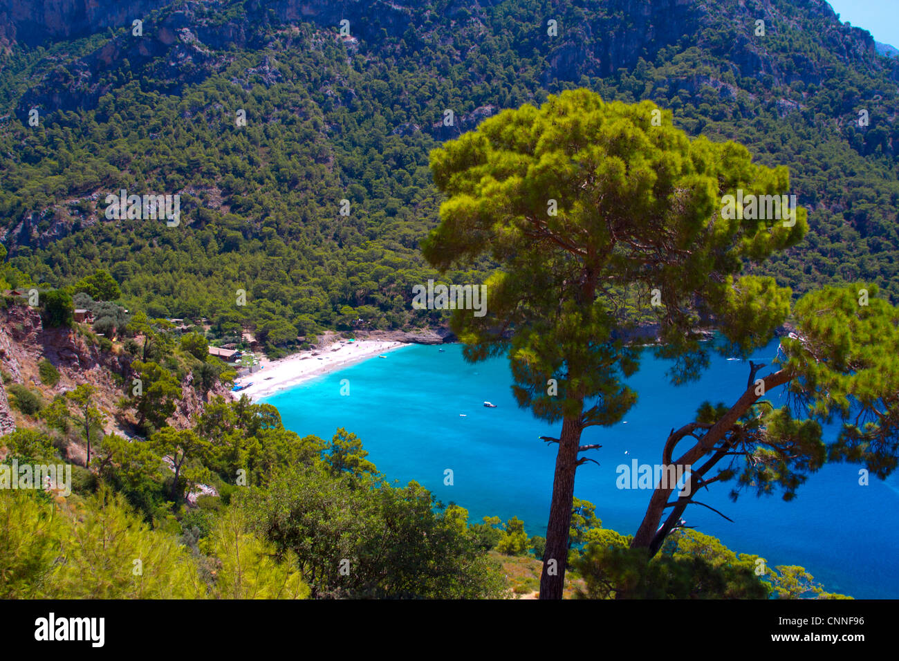 La foresta e il paesaggio costiero. Kabak Valley. Via Licia. Provincia di Mugla, costa Egea, Turchia. Foto Stock