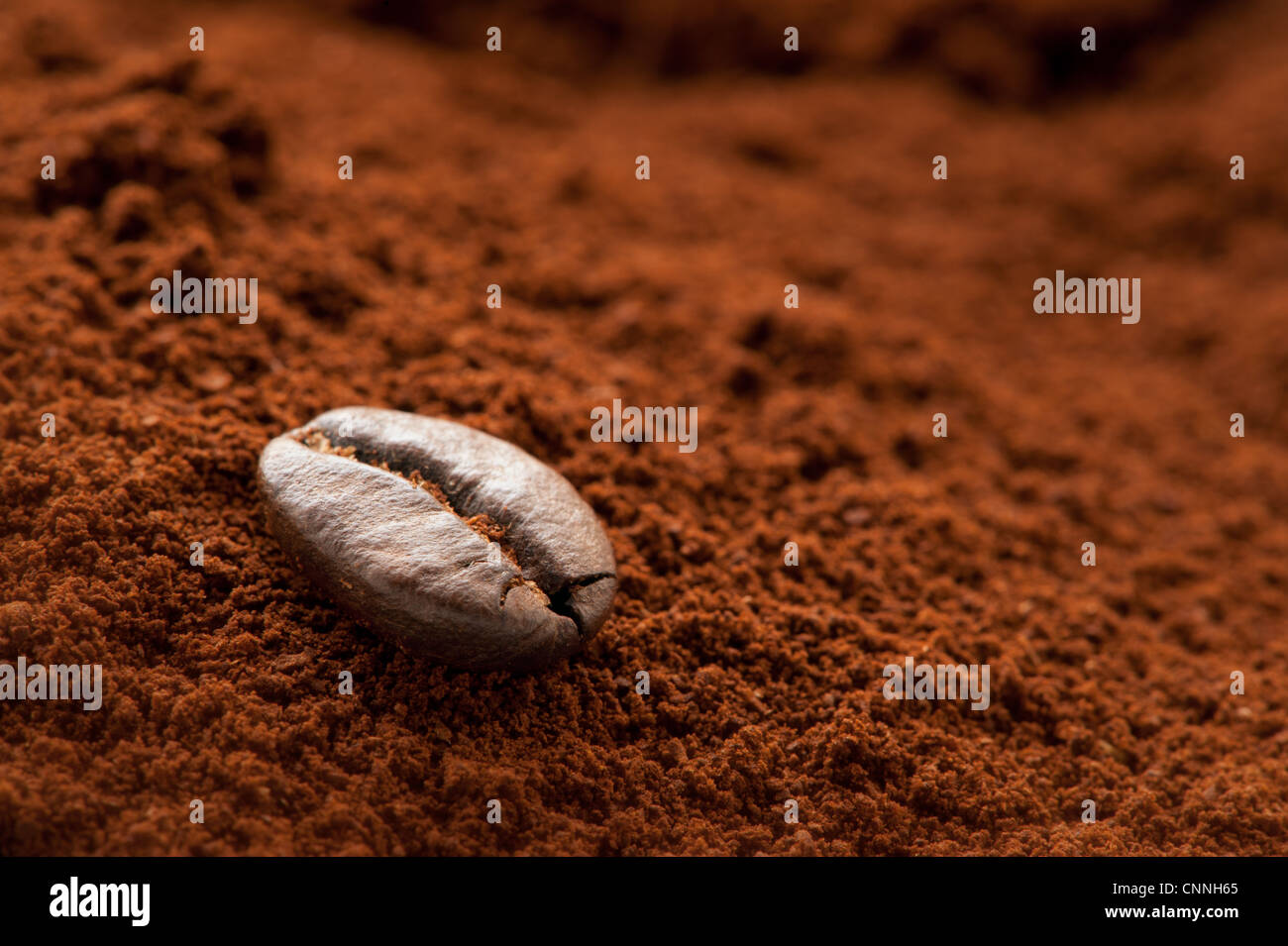 Un solitario chicco di caffè su un cumulo di caffè fresco motivi Foto Stock