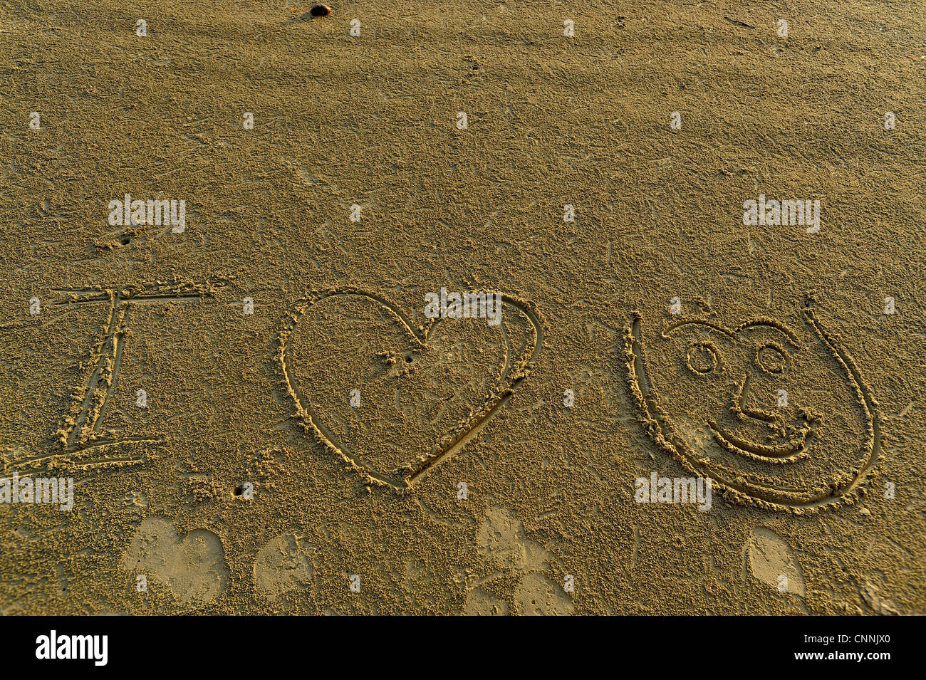 I LOVE U Scritta sulla sabbia, spiaggia tropicale, ko sukon, trang , a sud della Thailandia Foto Stock