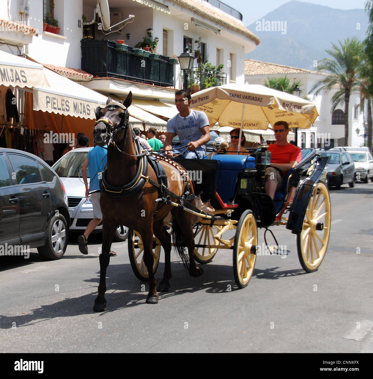 Carro trainato da cavalli di prendere i turisti su un tour panoramico, Mijas, provincia di Malaga, Andalusia, Spagna, Europa occidentale. Foto Stock