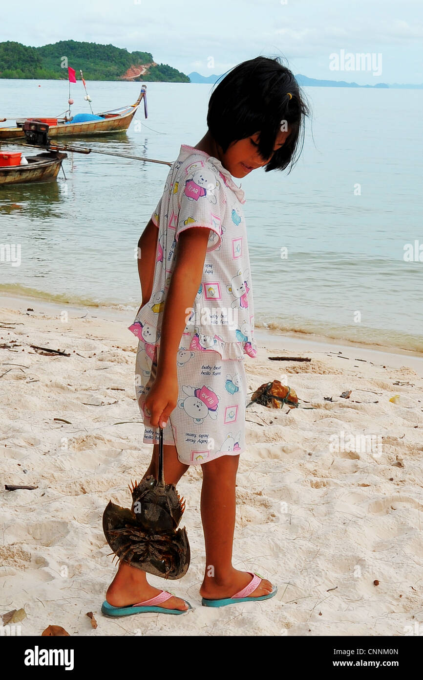 Bambina mettendo il granchio a ferro di cavallo torna nel mare,parte di un programma di conservazione per salvare il pesce,koh sukon,trang,thailandia Foto Stock