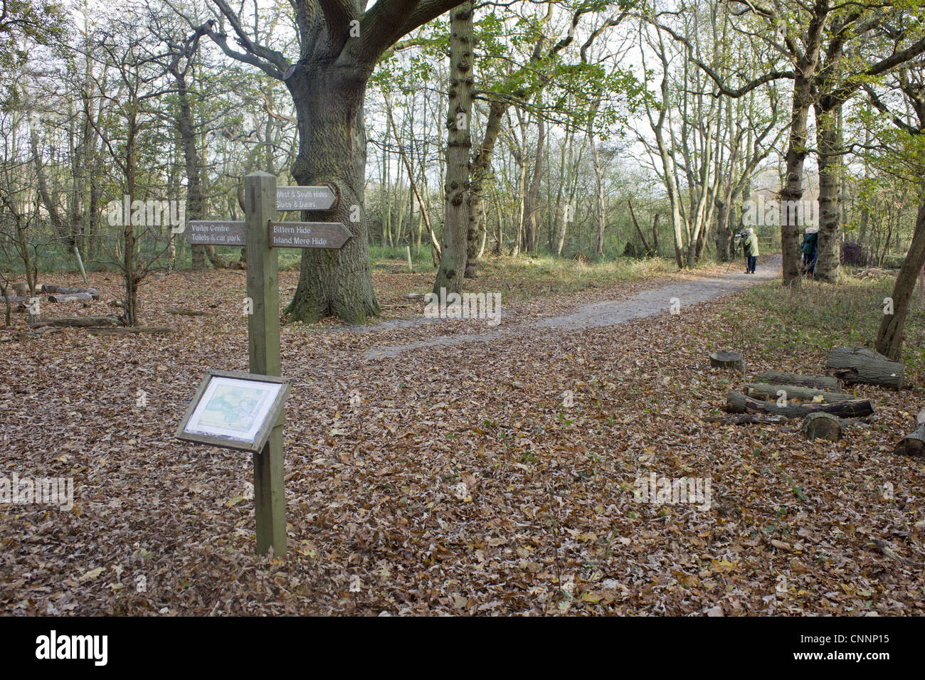 Segno di direzione e mappa sul percorso del bosco, Minsmere RSPB Riserva, Suffolk, Inghilterra, novembre Foto Stock