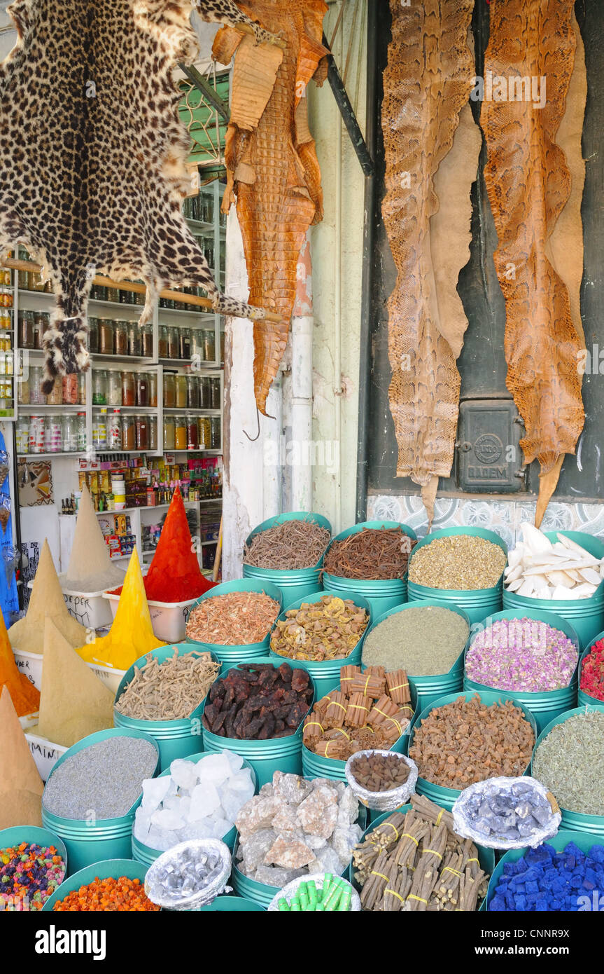 Leopard e snake skin per la vendita nel mercato accanto a spezie, Marrakech, Marocco, gennaio Foto Stock