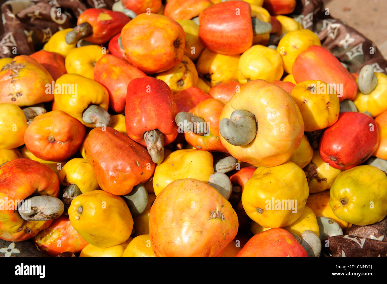 Africa, Mali, anacardi frutti con i dadi al mercato Foto Stock
