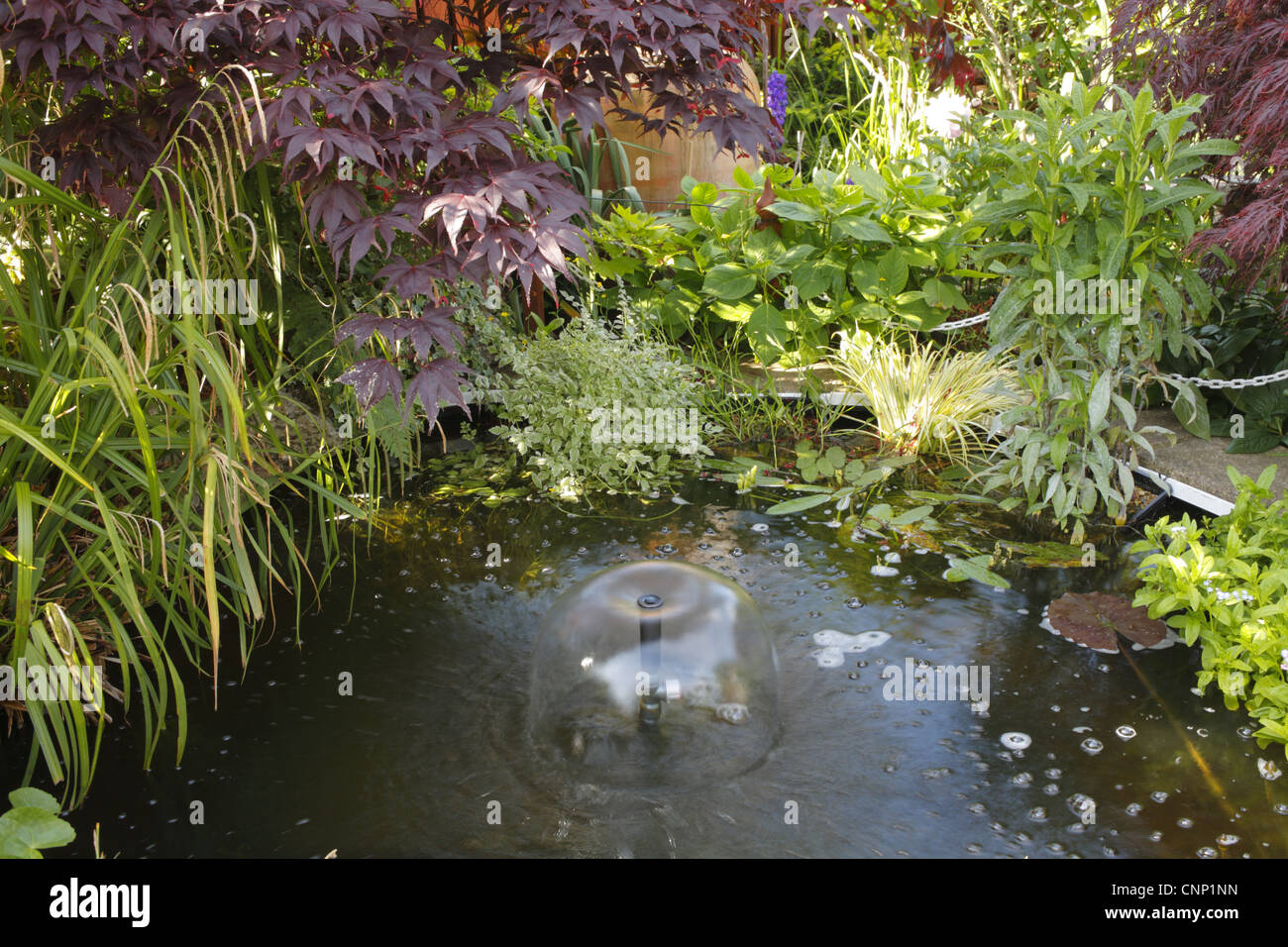 Piccolo laghetto con fontana nel giardino urbano, Morecambe, Lancashire, Inghilterra, giugno Foto Stock