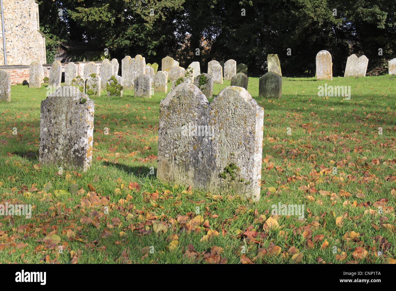 Lapidi in chiesa cimitero, con caduta foglie di erba, la chiesa di Santa Maria, Mendlesham, Suffolk, Inghilterra, novembre Foto Stock