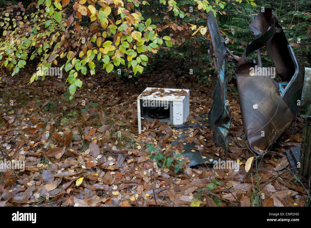 Importazioni oggetto di dumping di forno a microonde e aggrovigliati relitto auto nel bosco, Marsham boschi, Norfolk, Inghilterra, novembre Foto Stock