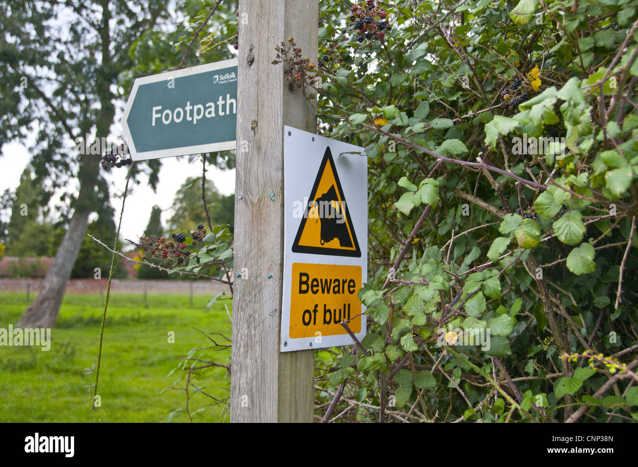 " Sentiero " e " Attenzione di Bull' segni sul bordo di pascolo, Wattisfield, Suffolk, Inghilterra, Agosto Foto Stock