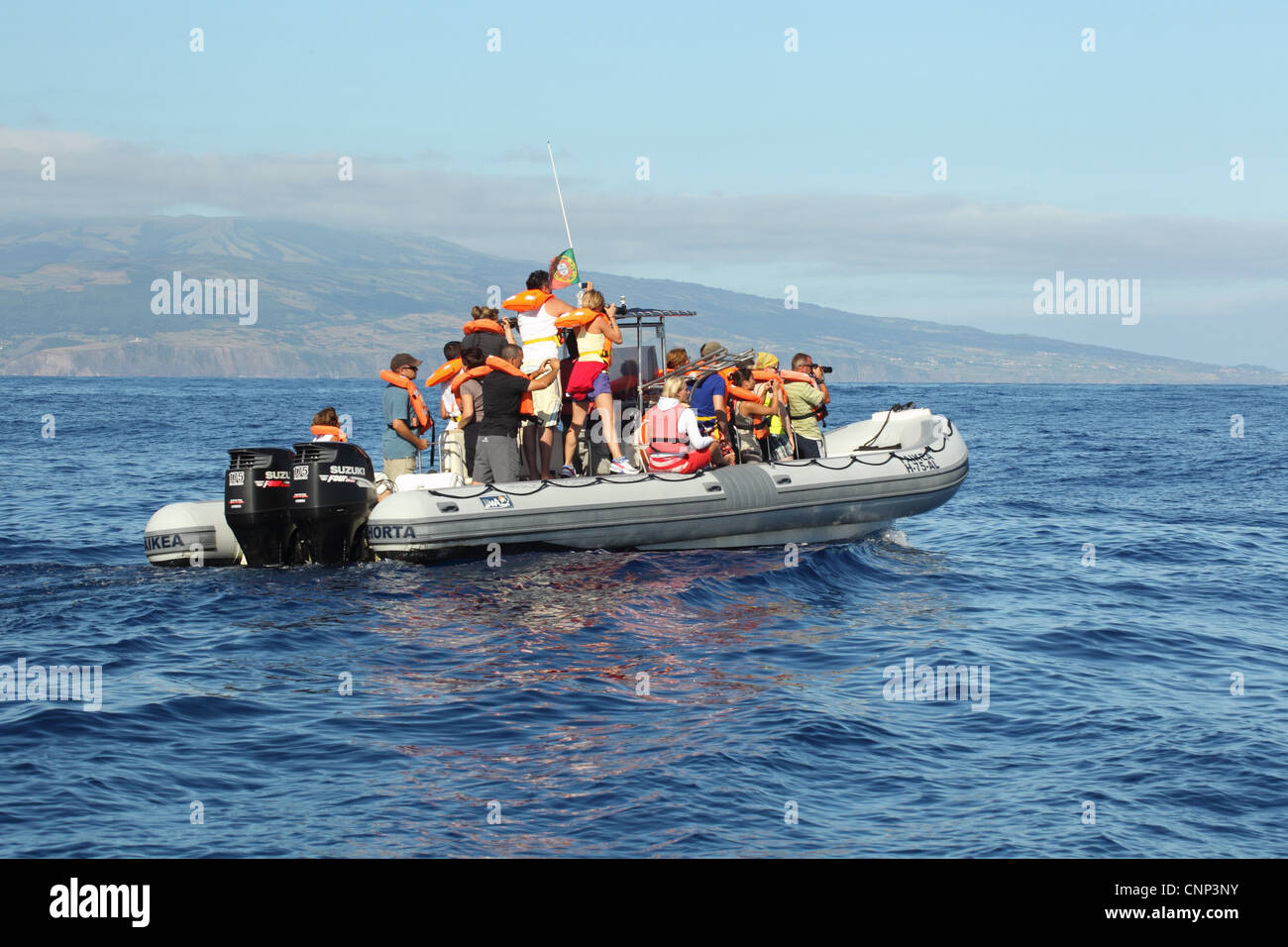 I turisti in osservazione di balene e delfini barca in mare, Azzorre, agosto Foto Stock