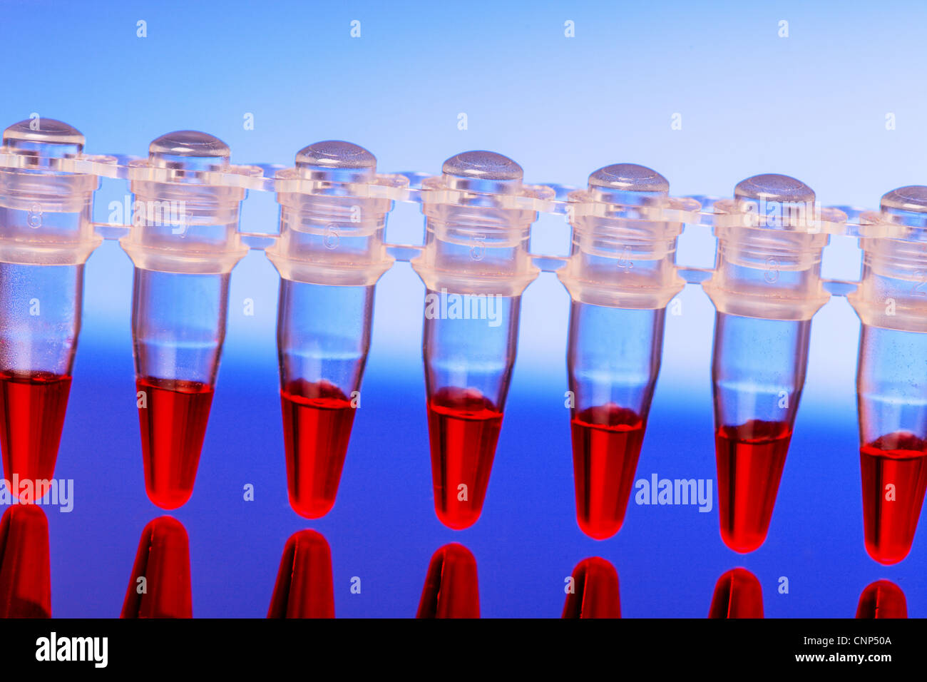 I campioni di sangue per la ricerca in materia di microprovette Foto Stock