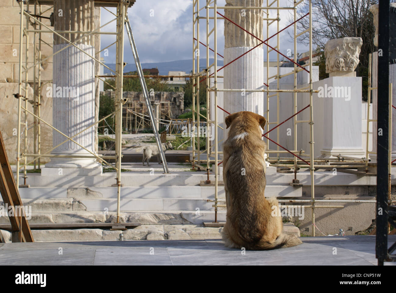 Biblioteca degli hadriani atene grecia immagini e fotografie stock ad