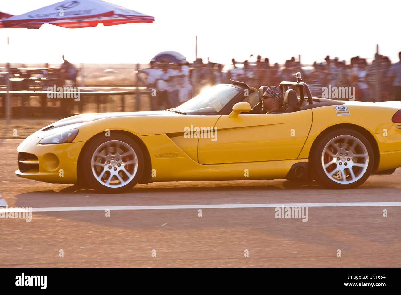Auto di lusso racing Dodge Viper Foto Stock