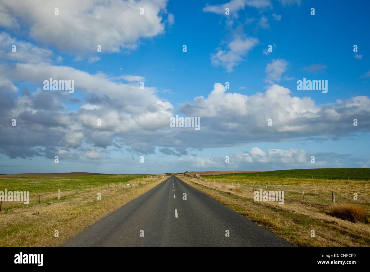 Strada. Meningie. Il South Australia. Foto Stock