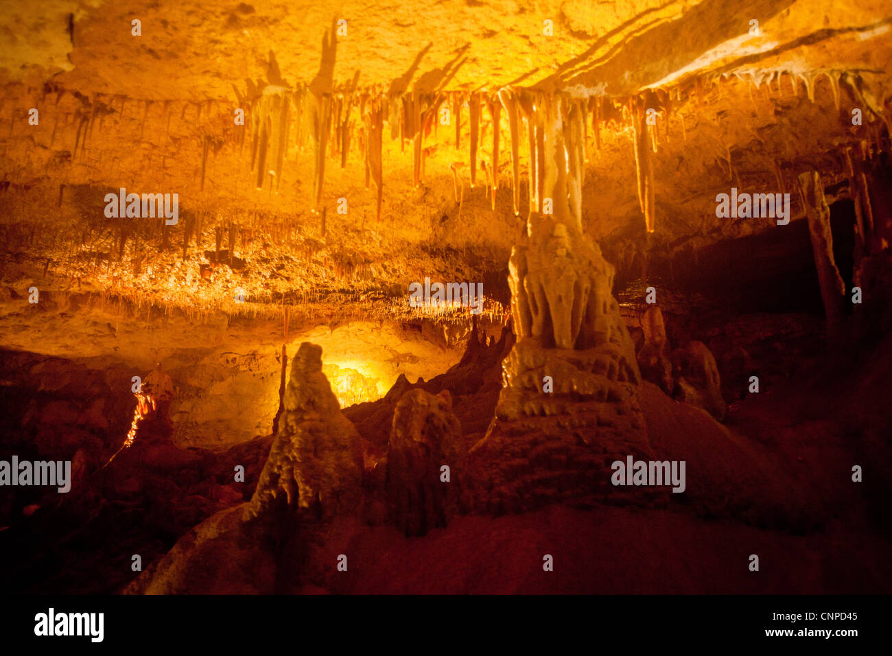 Grotte di Naracoorte Foto Stock