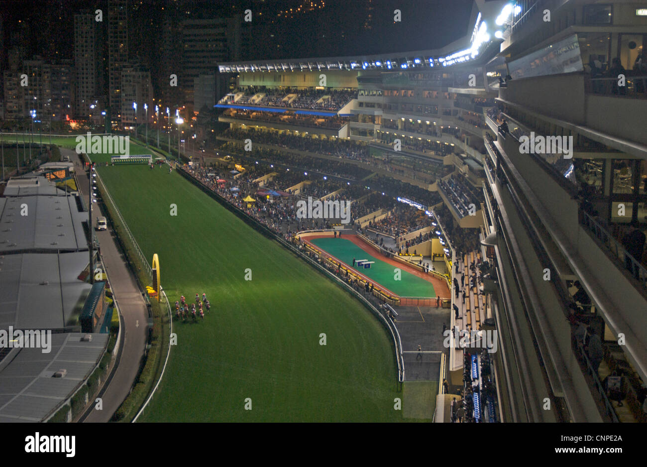 Gara in pista Happy Valley Racecourse, Isola di Hong Kong, Cina, Medio Oriente, Asia Foto Stock