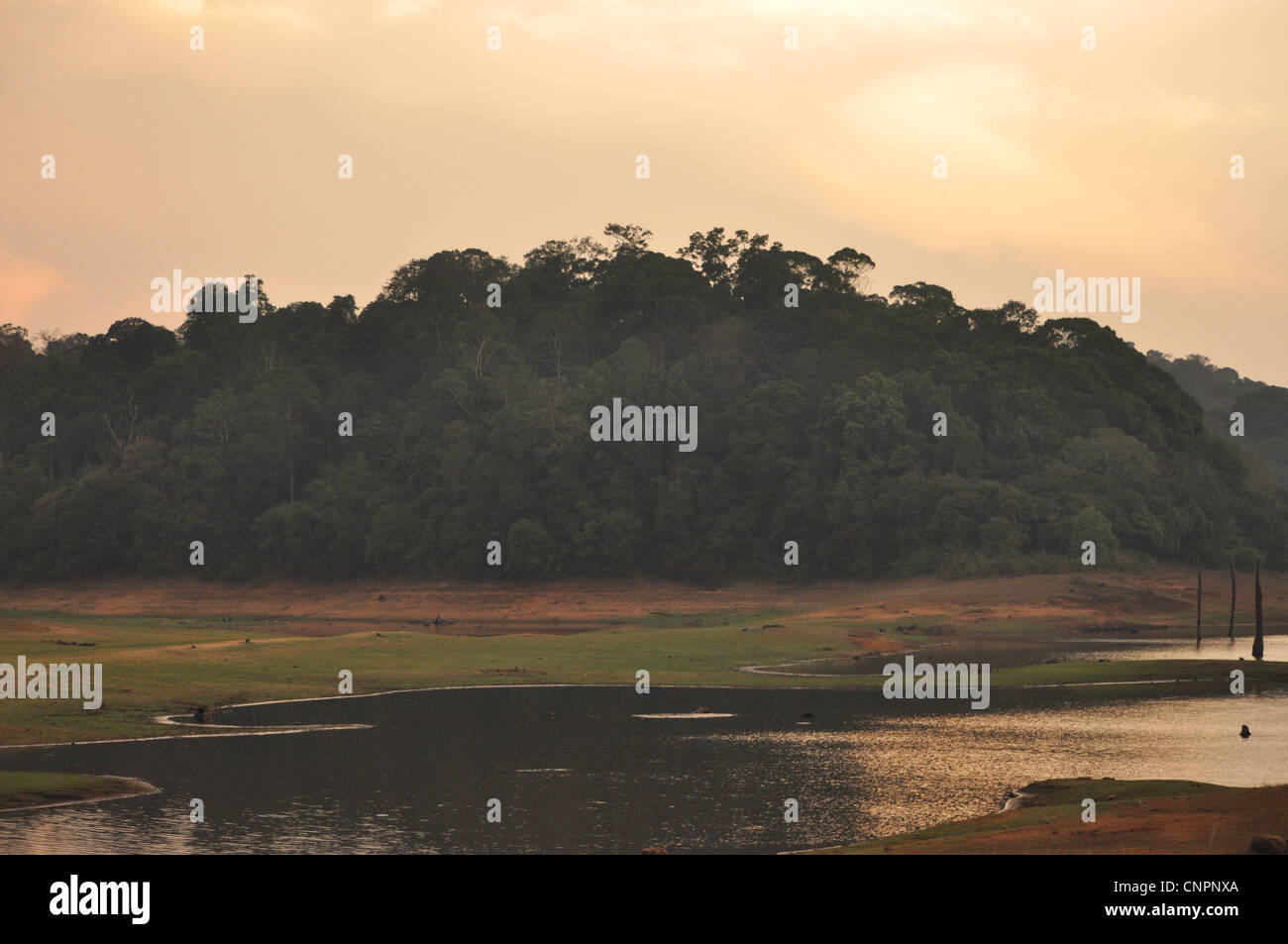 Set di sole sopra il serbatoio alla diga Mullaperiyar, in thekkady wild life santuario, Kerala, India Foto Stock